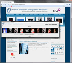 Upgrades For IPPA Website